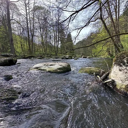 Seeblick - Tiny Nr 4 * Neunburg vorm Wald