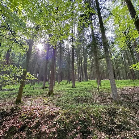 Seeblick - Tiny Nr 4 Chalet Neunburg vorm Wald